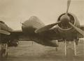 Peter Provenzano Photo Album Image_copy_079